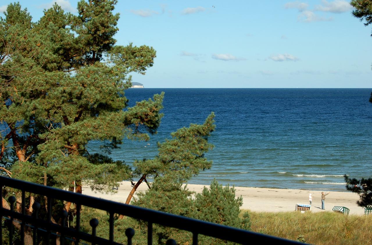 Stranddistel By Rujana *